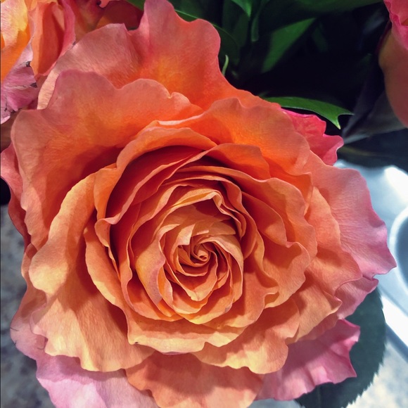 Meet your Posher, Chanda - Picture 1 of 1